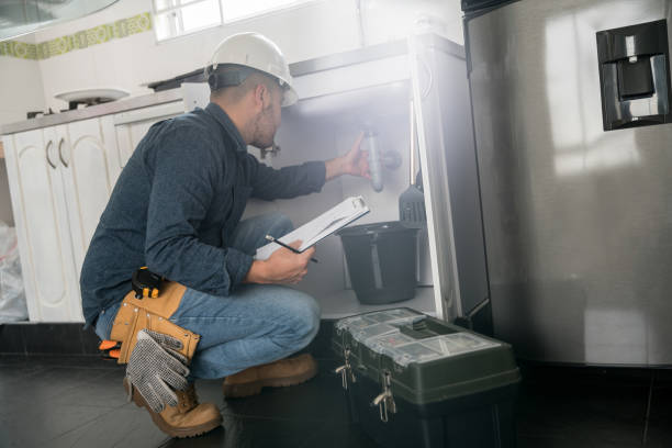 Best Plumbing Inspection Services  in Richmond, IL